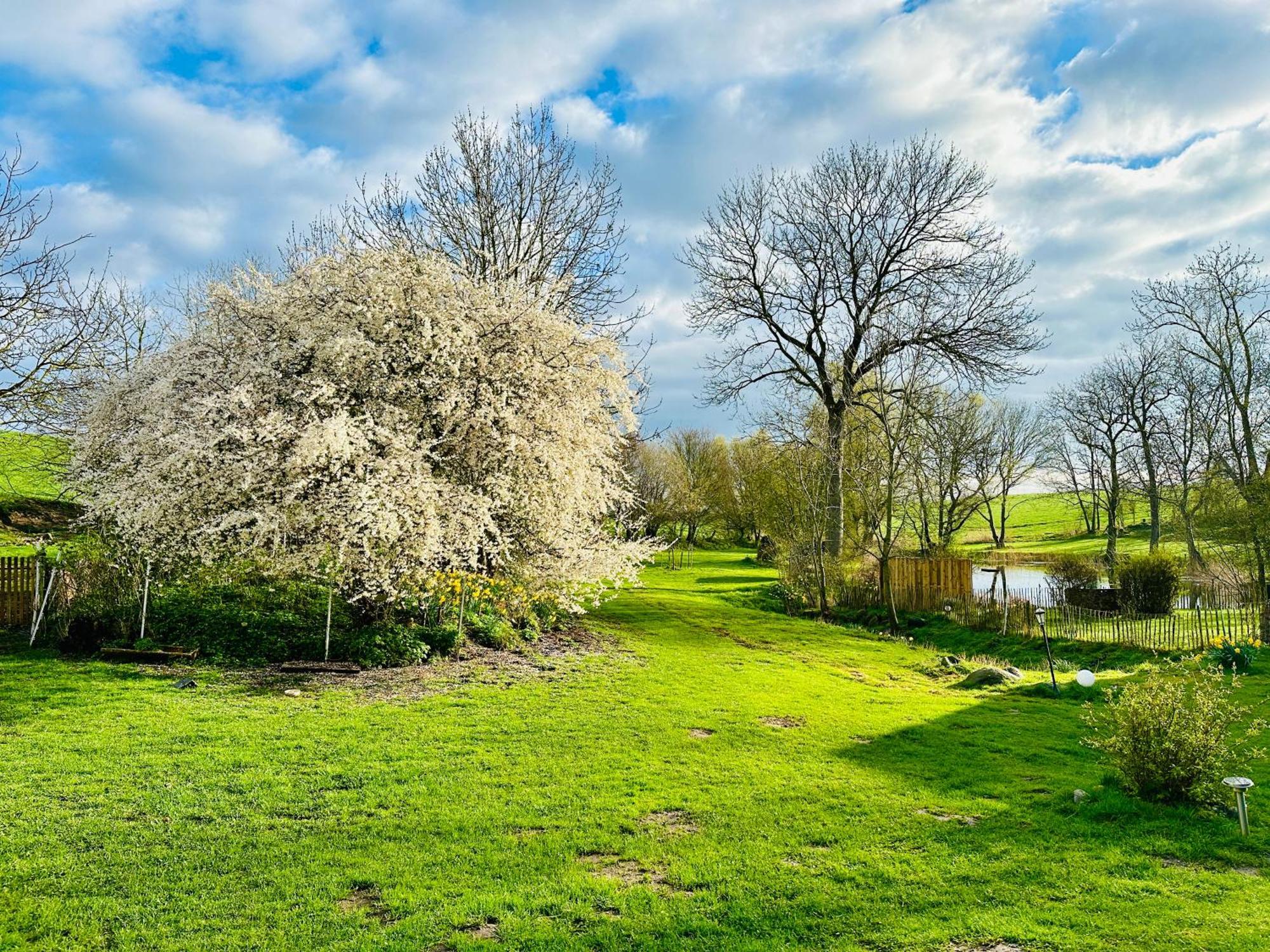 Ferienwohnung Mit Luxusbad, Terrasse Ostseenaehe Gremersdorf Eksteriør bilde